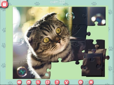 1001 Пазл. Милые коты - Скриншот 4